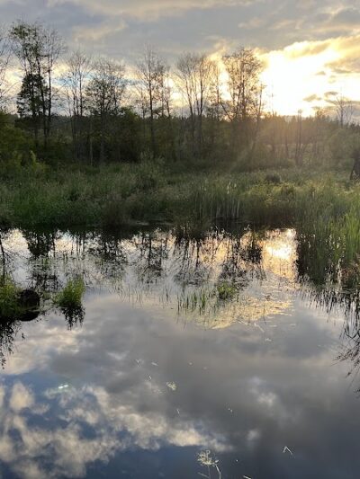Silverdale Dog Park - Silverdale, WA