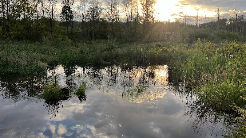 Silverdale Dog Park - Silverdale, WA