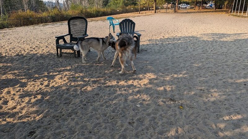 Silverdale Dog Park - Silverdale, WA