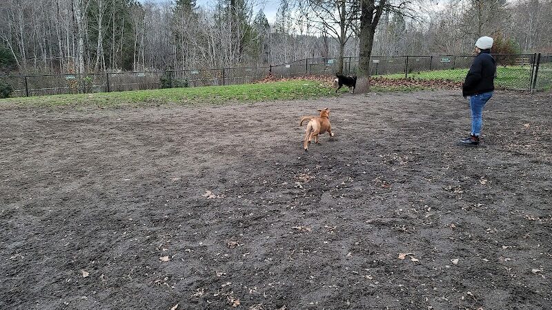 Silverdale Dog Park - Silverdale, WA