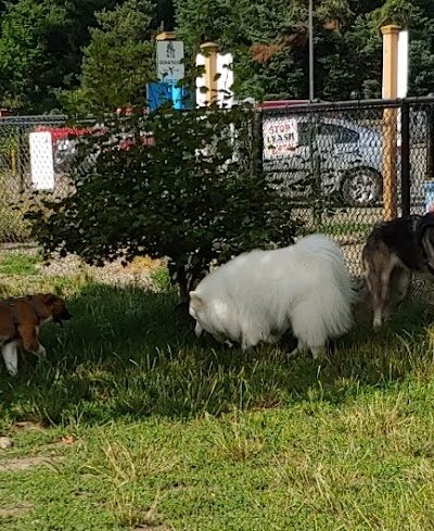 Silverdale Dog Park - Silverdale, WA