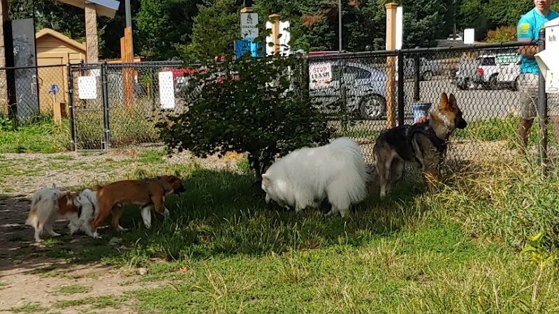 Silverdale Dog Park - Silverdale, WA