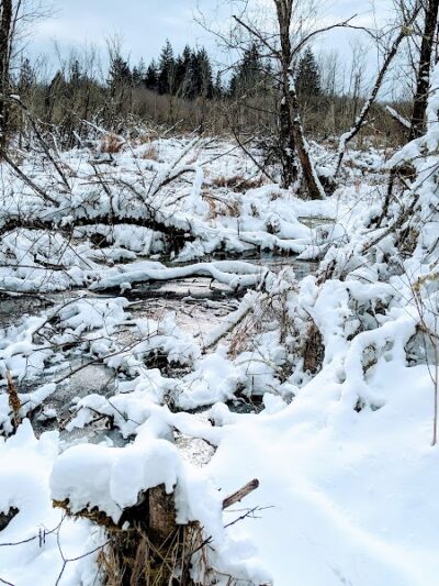 Silverdale Dog Park - Silverdale, WA
