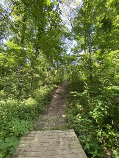 Phipps Prairie Park - Silvis, IL