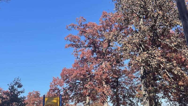 Schadt Park - Silvis, IL