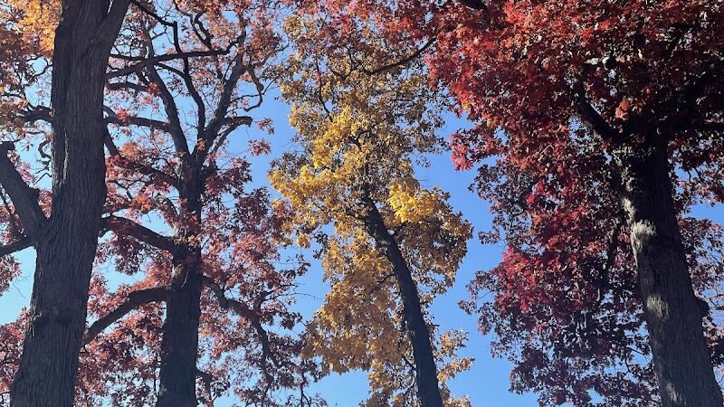 Schadt Park - Silvis, IL