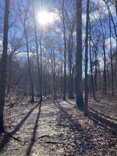 Jackson Falls - Simpson, IL