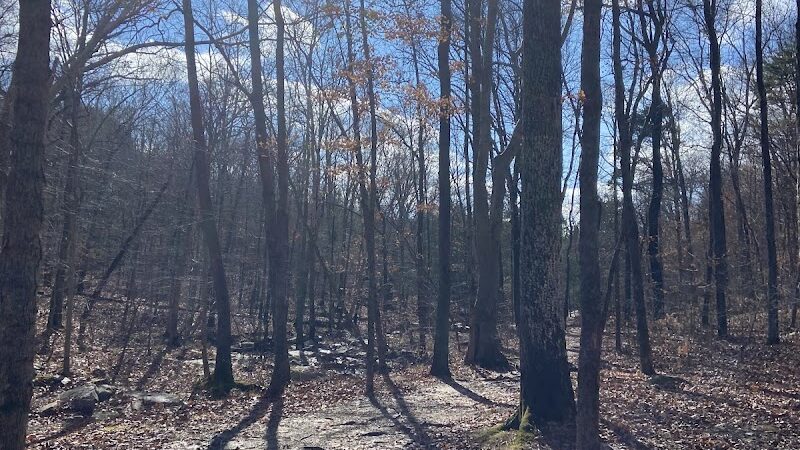 Jackson Falls - Simpson, IL