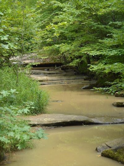 Jackson Falls - Simpson, IL