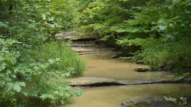 Jackson Falls - Simpson, IL