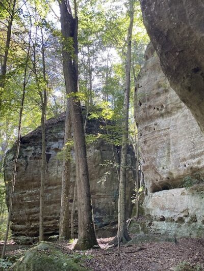 Jackson Falls - Simpson, IL