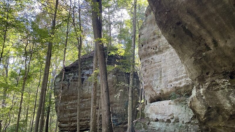 Jackson Falls - Simpson, IL