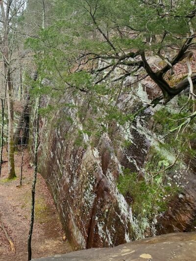 Jackson Falls - Simpson, IL