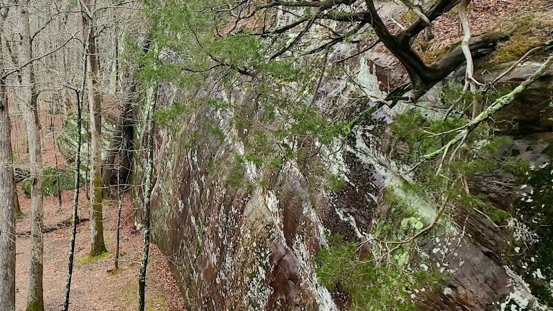 Jackson Falls - Simpson, IL