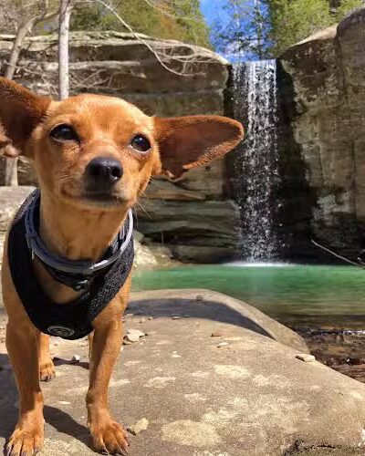 Jackson Falls - Simpson, IL