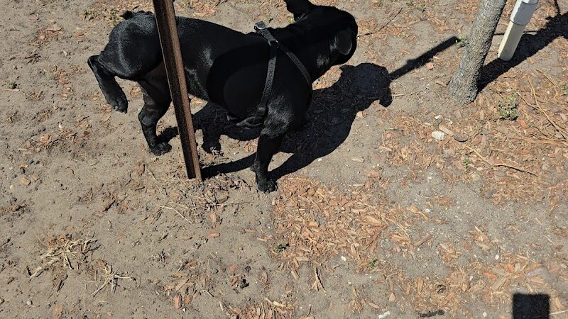 Dog Park at Love's Travel Stops - Sinton, TX