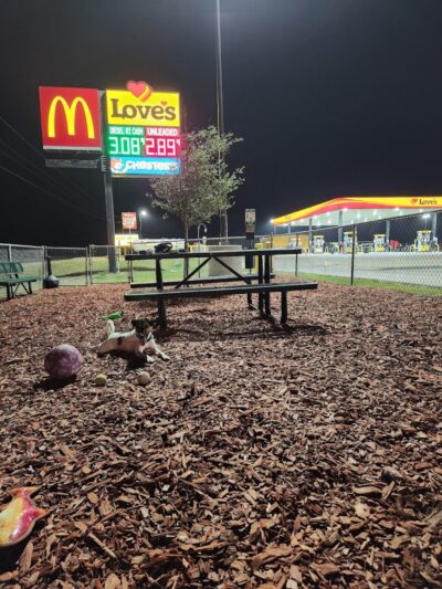 Dog Park at Love's Travel Stops - Sinton, TX