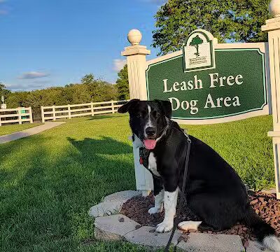 Dog Park - Skillman, NJ