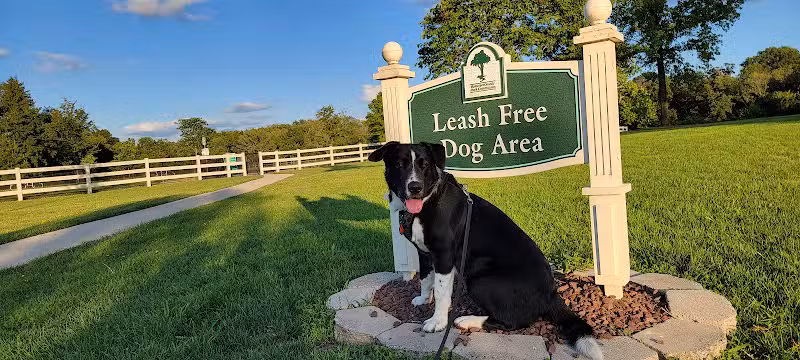Dog Park - Skillman, NJ
