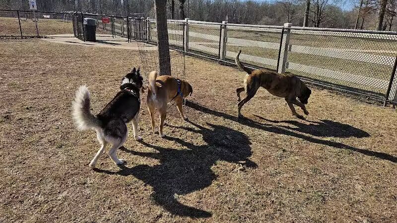 Dog Park - Skillman, NJ