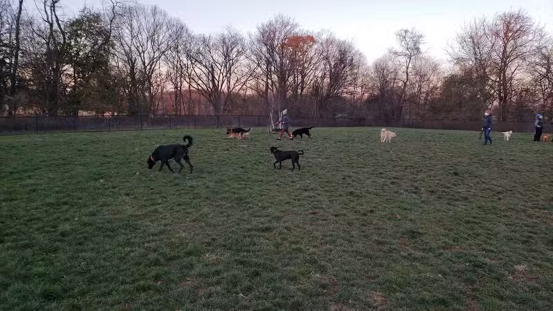 Dog Park - Skillman, NJ