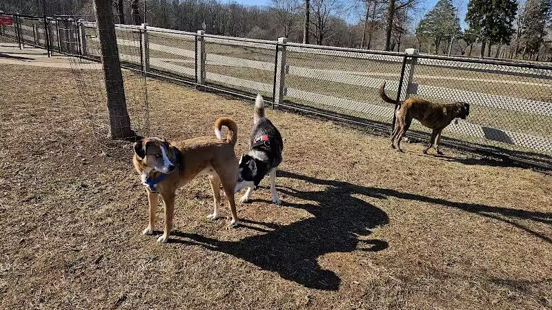 Dog Park - Skillman, NJ