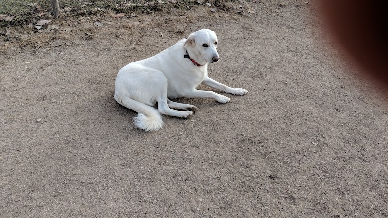 Pooch Park - Skokie, IL