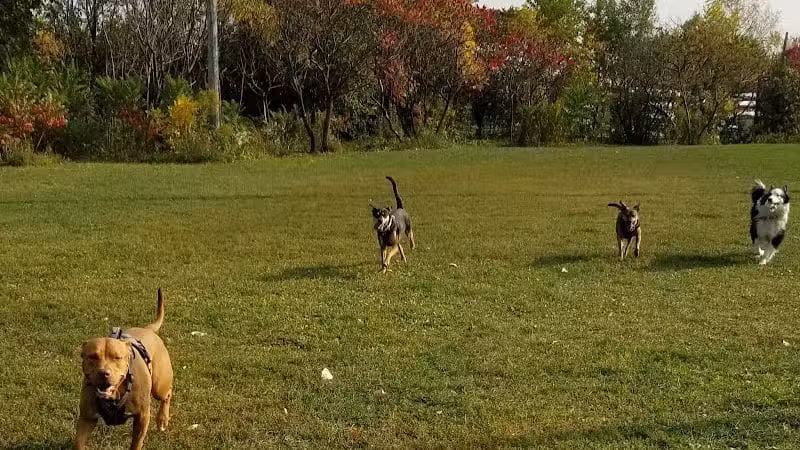 Pooch Park - Skokie, IL