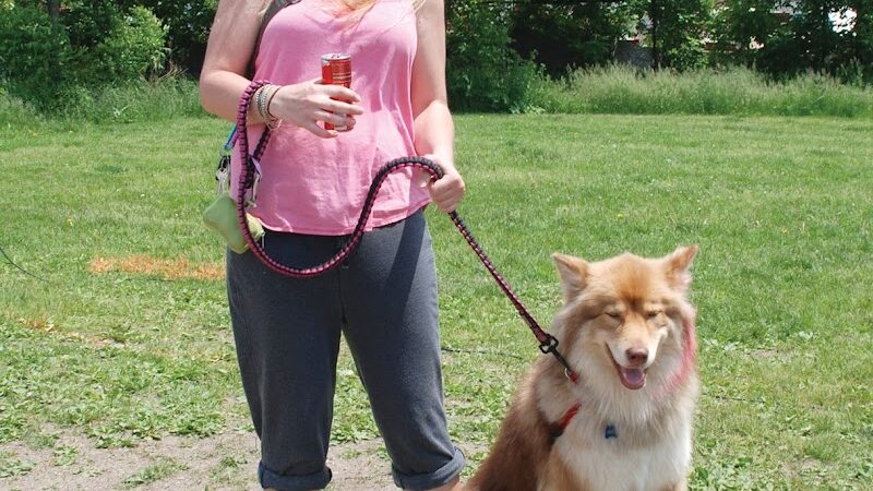 Pooch Park - Skokie, IL