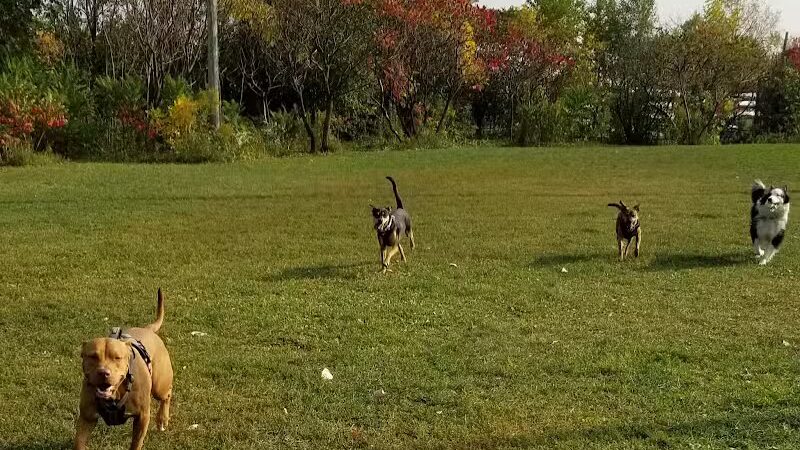 Pooch Park - Skokie, IL
