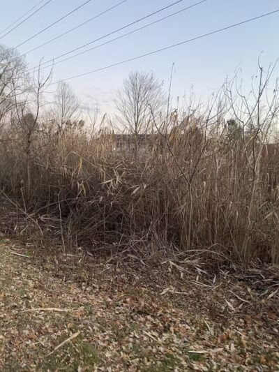 Albany County Helderberg-Hudson Rail Trail - Slingerlands, NY