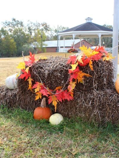 Slocomb Gazebo/ Park - Slocomb, AL