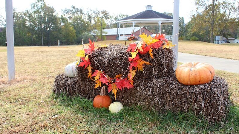 Slocomb Gazebo/ Park - Slocomb, AL