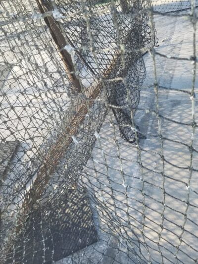 Slocomb Recreation Park - Slocomb, AL