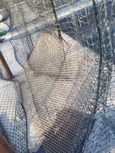 Slocomb Recreation Park - Slocomb, AL