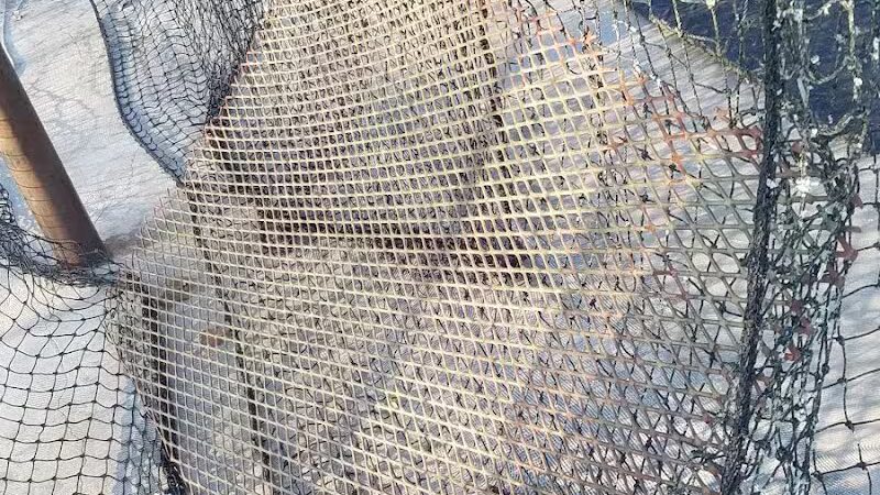 Slocomb Recreation Park - Slocomb, AL