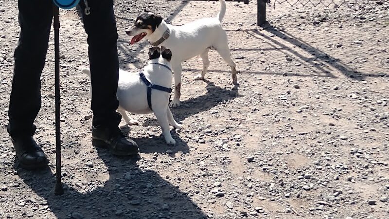 Town of Bethel Dog Park - Smallwood, NY