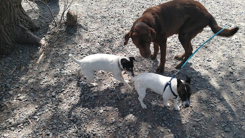 Town of Bethel Dog Park - Smallwood, NY