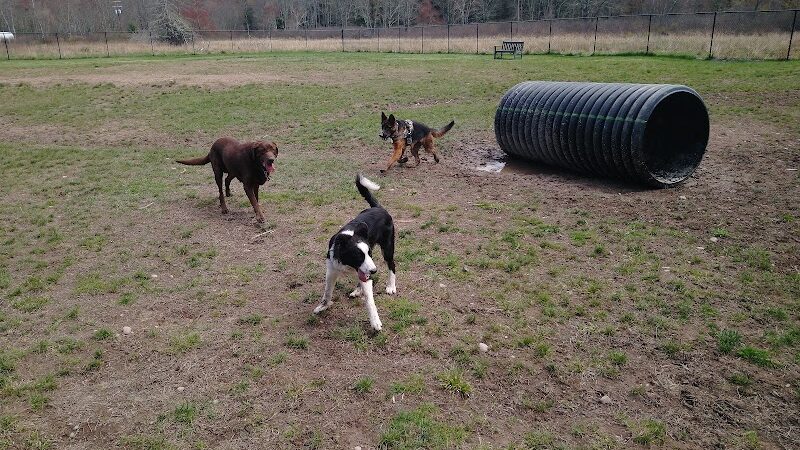Town of Bethel Dog Park - Smallwood, NY