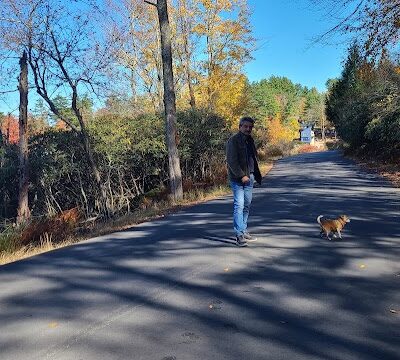 Town of Bethel Dog Park - Smallwood, NY
