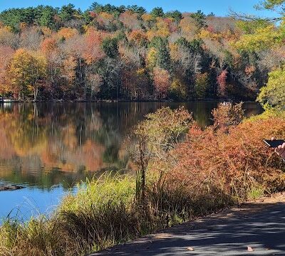 Town of Bethel Dog Park - Smallwood, NY