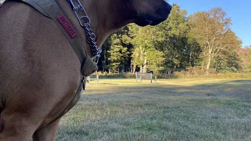 Town of Bethel Dog Park - Smallwood, NY