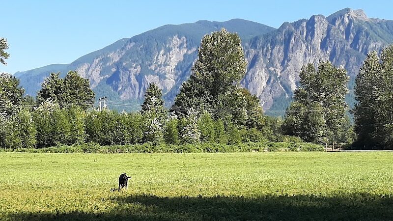 Three Forks Off-Leash Dog Park - Snoqualmie, WA