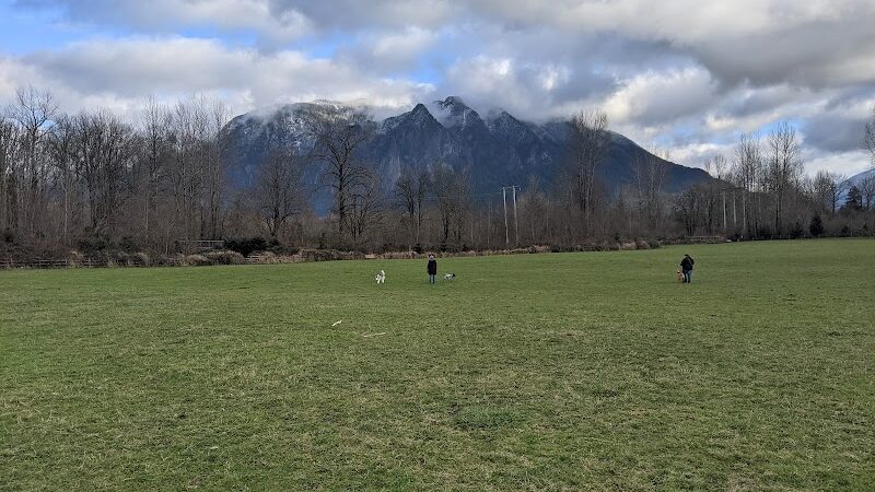 Three Forks Off-Leash Dog Park - Snoqualmie, WA
