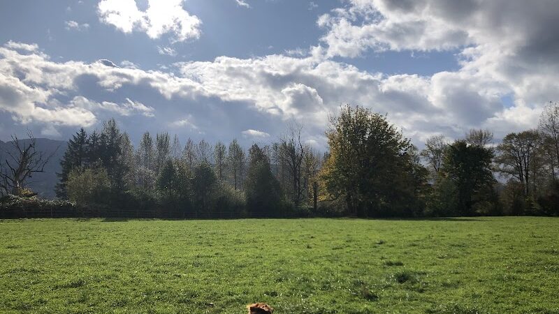 Three Forks Off-Leash Dog Park - Snoqualmie, WA
