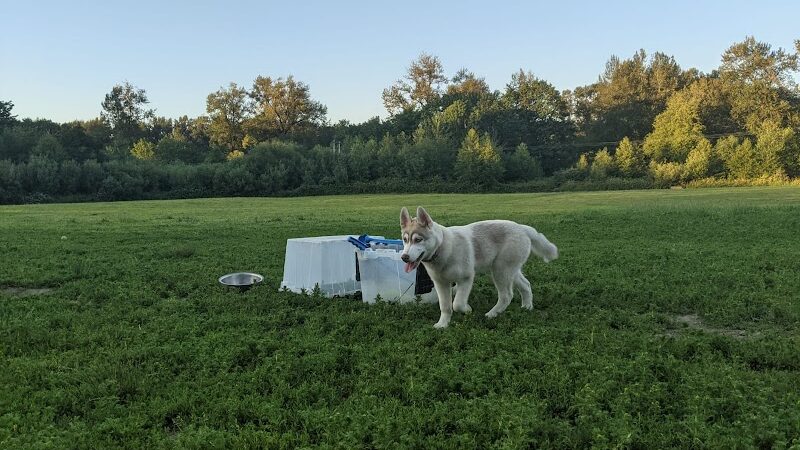 Three Forks Off-Leash Dog Park - Snoqualmie, WA