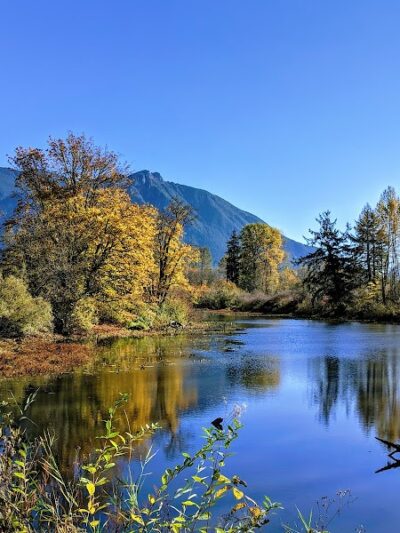 Three Forks Off-Leash Dog Park - Snoqualmie, WA