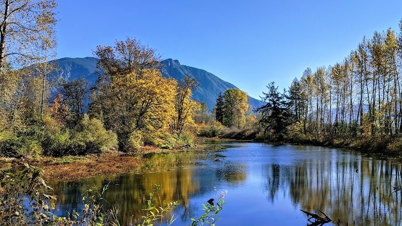 Three Forks Off-Leash Dog Park - Snoqualmie, WA