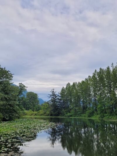 Three Forks Off-Leash Dog Park - Snoqualmie, WA