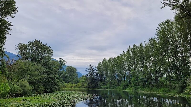 Three Forks Off-Leash Dog Park - Snoqualmie, WA